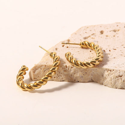 Éblouissantes Boucles d'Oreilles en Or et Argent